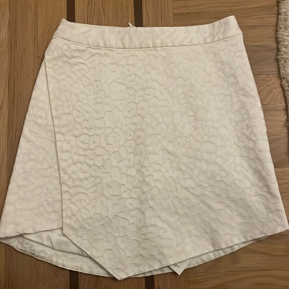 Michelle Mason Skirt